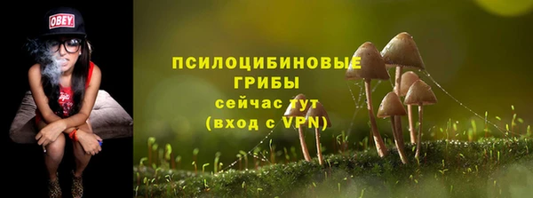 молекула духа Абдулино