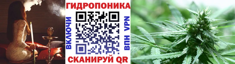 Бошки Шишки MAZAR  Туринск 